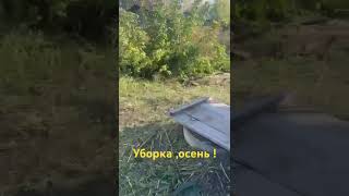 Осень  небо