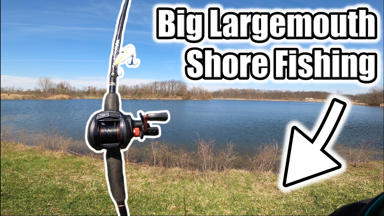 Shore Fishing Live Shiners for Big Bass!