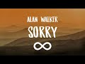 (1 Hour) Alan Walker - Sorry ft. ISAK (One Hour Loop)