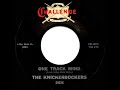 1966 Knickerbockers One Track Mind Mono 45 mp3