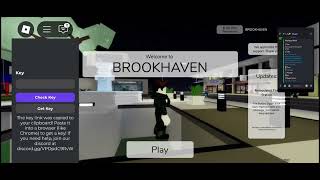 How to bypass fluxus key system
