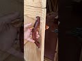 Dog is FINE. Vid 18 Cabin Build Wooden door latch