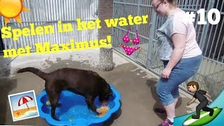 Waterpret Met Maximus