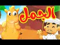 الجمل قناة بلبل  