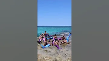 Category Is CUNTY FISH Thequeerindigo Merman Mermanlife Mermantail Mermaid Mermaids 
