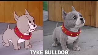 🔥 Title: Tom & Jerry In Real Life 😱 | You Won't Believe This! #shorts