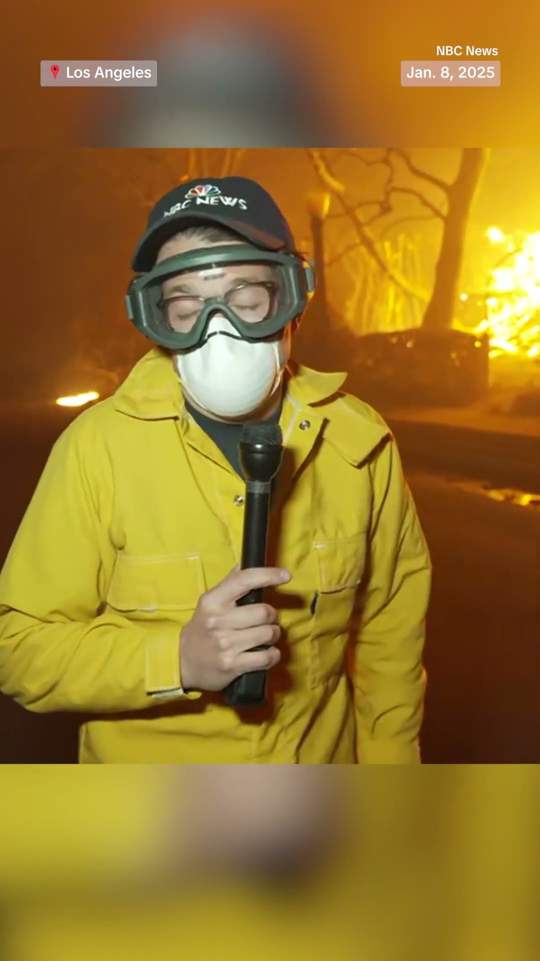 Why the Palisades Fire is so devastating