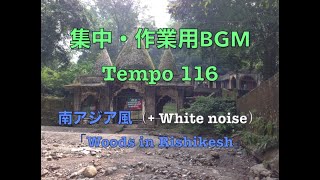 【集中・作業用BGM】南アジア風＋ホワイトノイズ（自作曲）/ Tempo 116