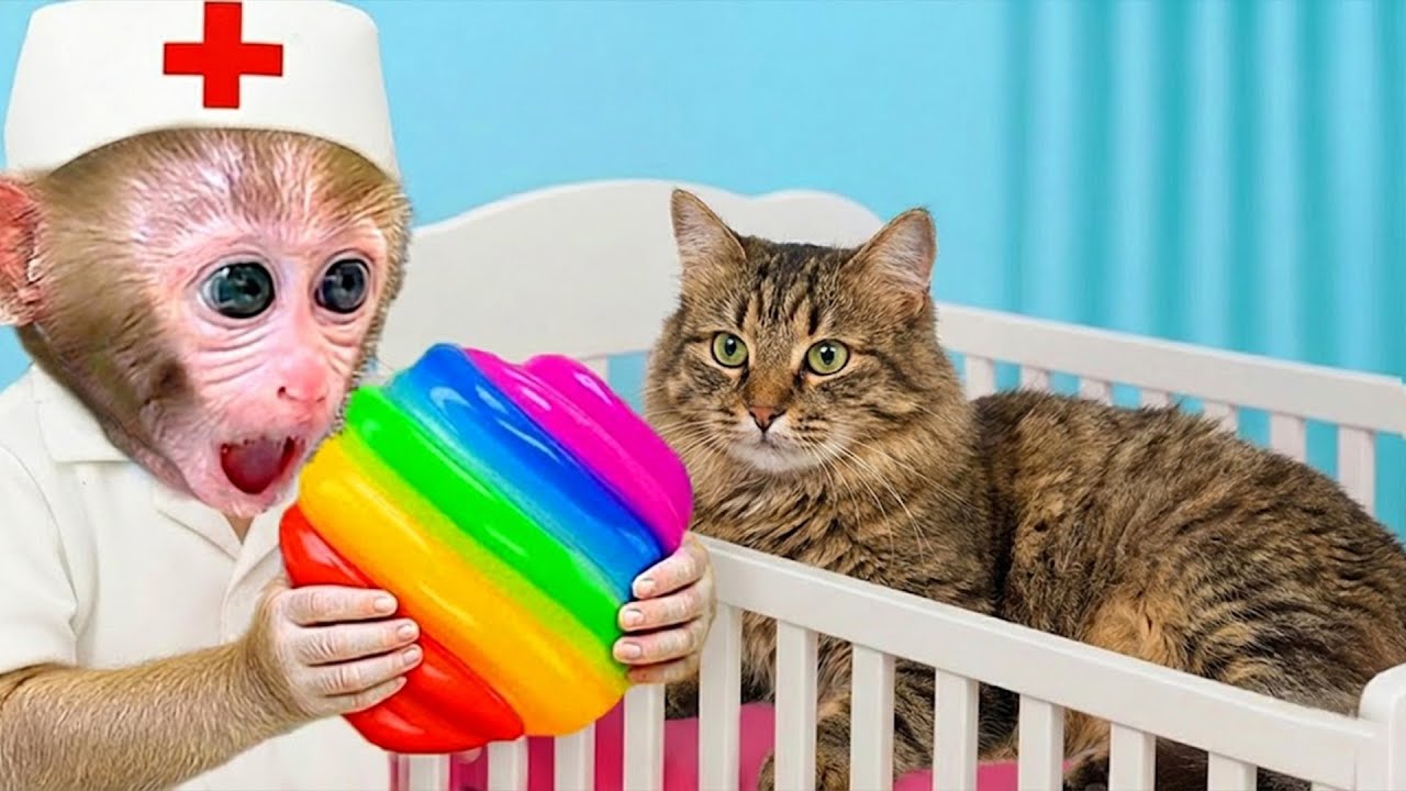 يعتني القرد الصغير بون بون بالقطة الصغيرة ويصنع حلوى الجيلي الملونة بألوان قوس قزح