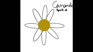Camomile
