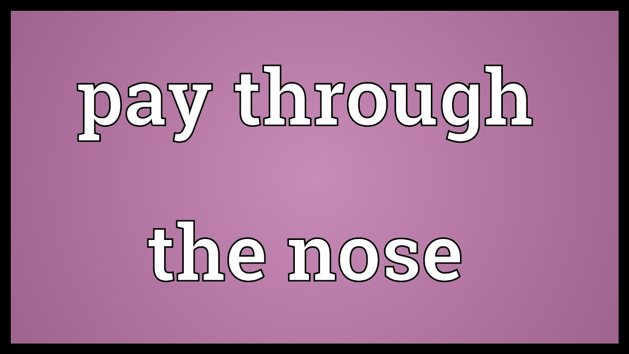 Pay through the nose Meaning YouTube