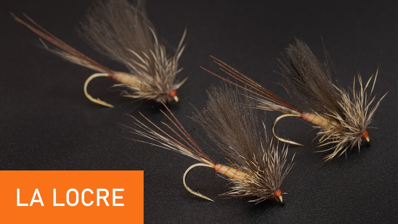 Montage d'une mouche sèche, La Locre