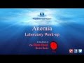 Anemia - Laboratory work-up introduction