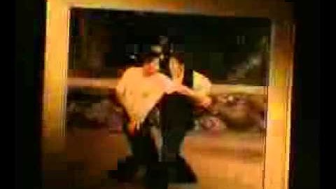 The Baji Quan International Training Center CCTV Documentary - Part 2