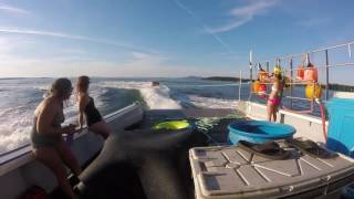 Summer fun 2016