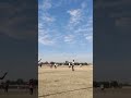 softball#softballbatting #softballdrills #usasoftball #softballtraining #youtubeshorts