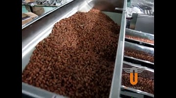 DOYPACK PACKING MACHINE WITH 4 HEAD LINEAR WEIGHER FOR PEANUT WEIGHING AND PACKAGING