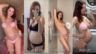 'Beautiful Pregnant Belly transformation: Week by Week | Mom to be Journey | 4'
