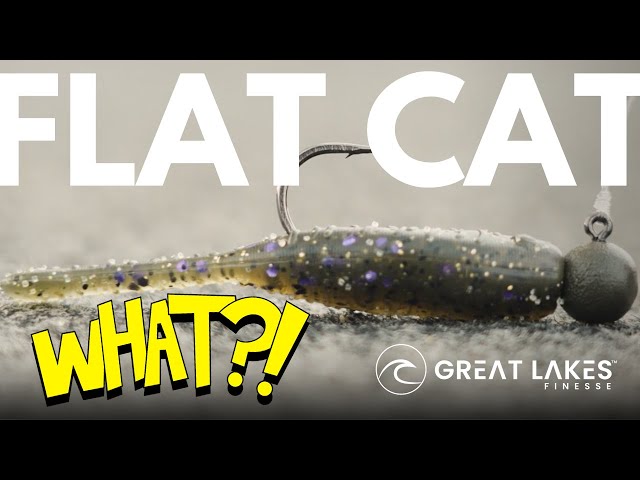WHAT THE HECK IS A FLAT CAT?! - Sneaky finesse bait by Great Lakes