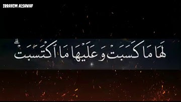 أجمل تلاوة قرآن كريم خاشعة بصوت جميل جدا ورائع.. حالات واتس قرآن كريم