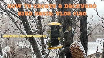 How to create a backyard bird sanctuary; Vlog #190