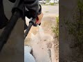Agaro Supreme High Pressure Washer#carcare #trending #youtubeshorts