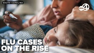 Celebrity Flu cases rise across South Carolina as doctors urge vaccines, masking during holidays Profile