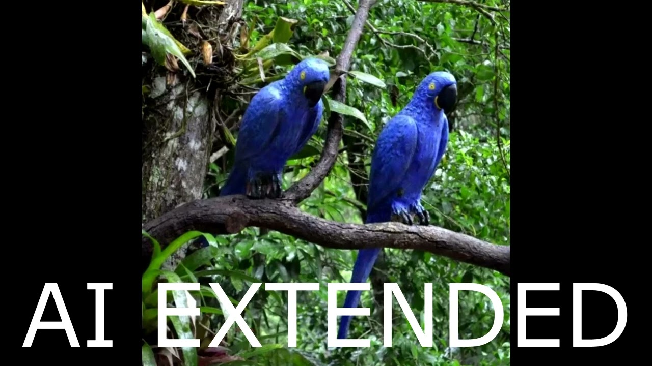 Trip To Rio - Lostwave Song (AI EXTENDED)