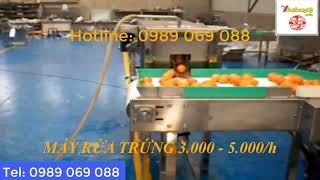 máy rửa trứng 3 000 5 000 1h