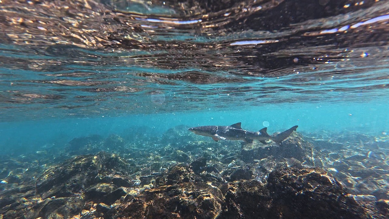 Karratha Snorkel Adventures