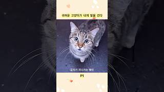 귀여운 고양이가 내게 말을 건다 P1