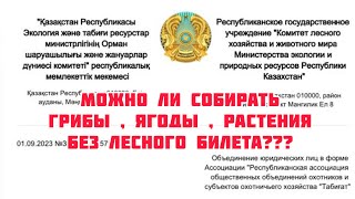 Можно ли собирать грибы, ягоды, лекарственные растения , на территории Национального парка ???