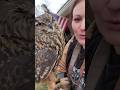 The Owl Choas! 🤣🦉 #shorts #viral #usa #pets