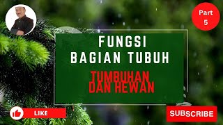 FUNGSI BAGIAN TUBUH TUMBUHAN DAN HEWAN