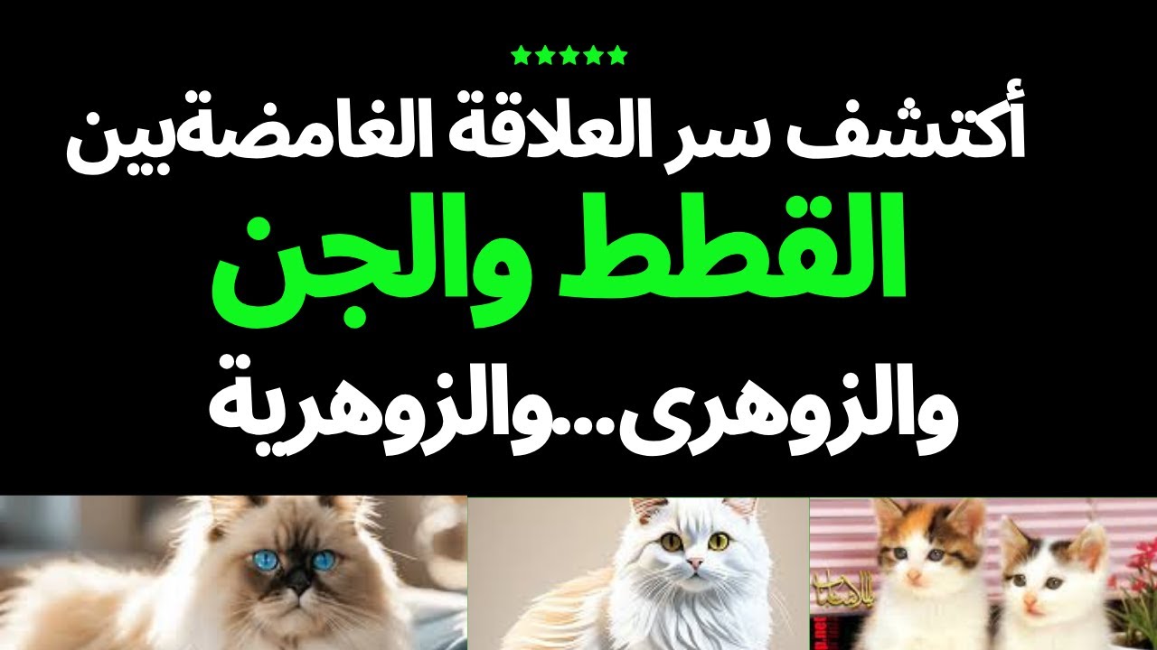 ماهى علاقة القطط والجن بالانسان الزوهرى والفتاه الزوهرية.