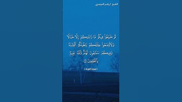 سورة التوبة ( ٤٦ - ٤٧)/ ياسر الدوسري