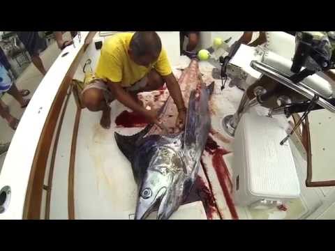 Russian roulette sportfishing