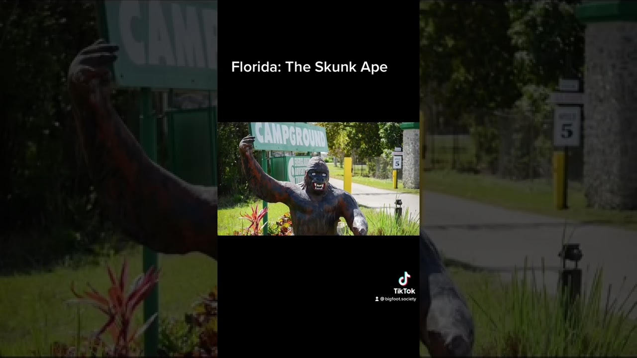 Creepy Cryptids from each U.S. State Pt. 9: Florida, the Skunk Ape #shorts