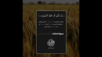 آجمل تلاوة القران الكريم ب صوت القارئ أحمد النفيس حالات واتس اب جميلة ما تيسر من السورة فصلت