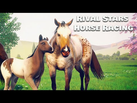 Видео: Rival Stars Horse Racing. Прокачиваю Hightmare для сюжетного забега и новые жеребята!