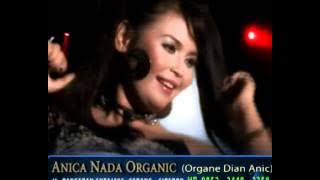 Gangnam Style DIAN ANIC - PULSAKU HABIS (ORIGINAL)