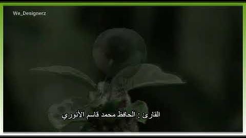 تلاوة خاشعة.،،. سورة النبأ: