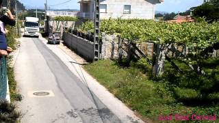 San Cristóbal 2012 (Castrelo - Cambados)