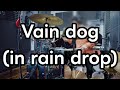 the pillows - Vain dog (in rain drop)【Drum cover】