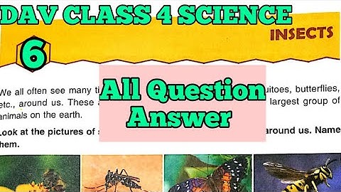 DAV Class 4 Science Chapter 6 Insects ||Question Answer ||Arpita Kaushik 31