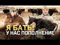 7 серия | Коровы Black Angus начали телиться. Едем в Тулу за станками и строим загон.