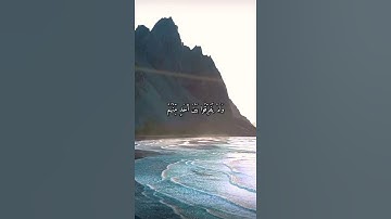 واتس اب قران كريم القارئ ياسر الدوسري (سوره النساء)