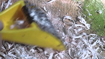 start a fire using a stanley rasp