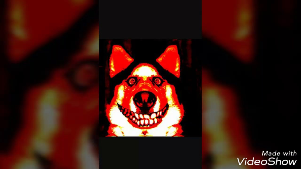 Smile dog картинки оригинал