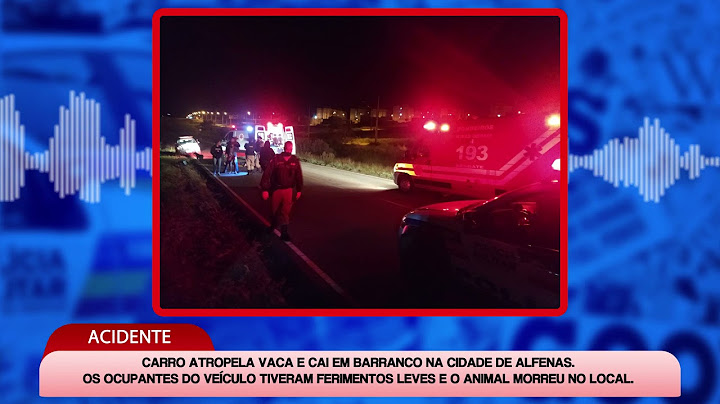 carro atropela vaca